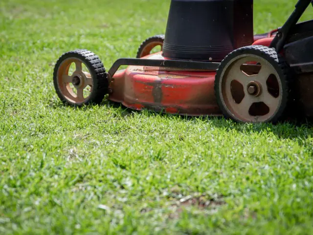 Lawn Maintenance